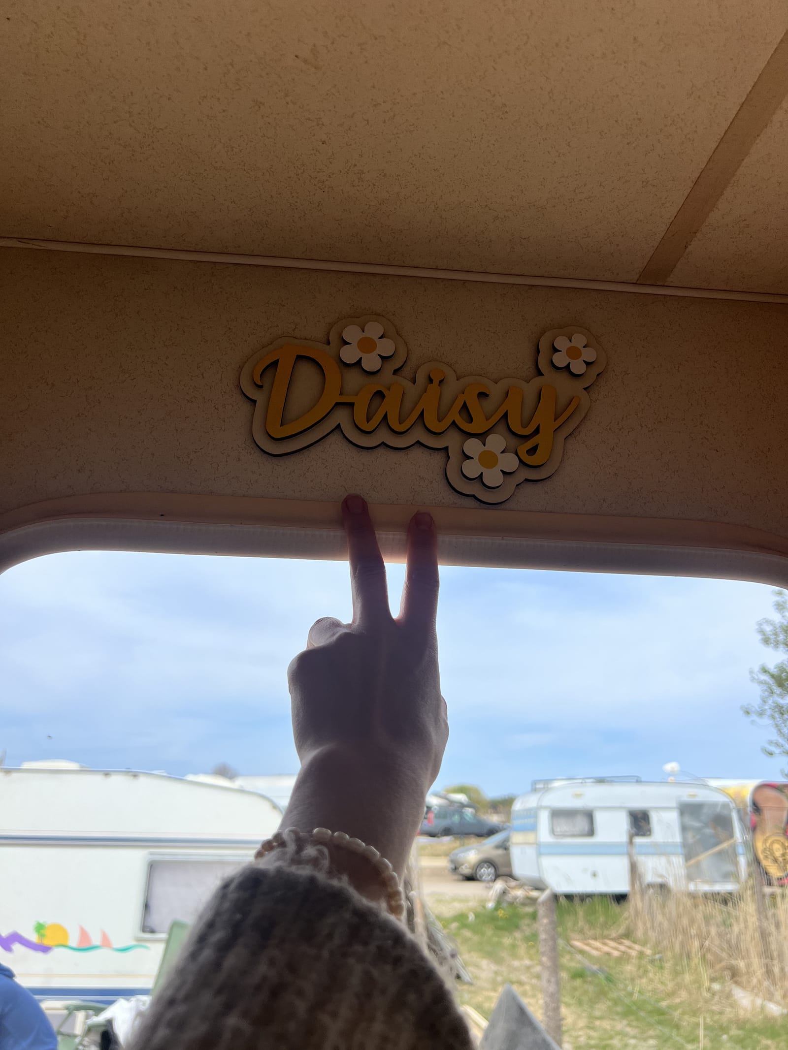Daisy — zdjęcie 4
